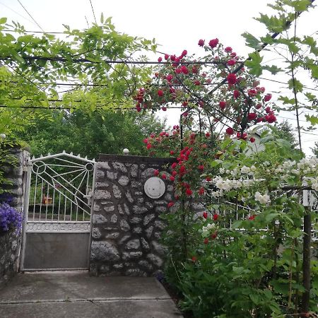 Fuege Vendeghaz Hotel Miskolc Bagian luar foto