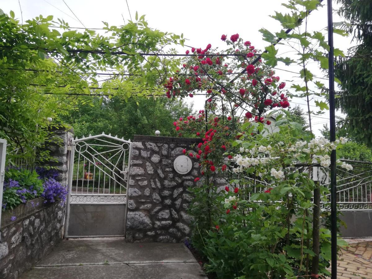 Fuege Vendeghaz Hotel Miskolc Bagian luar foto