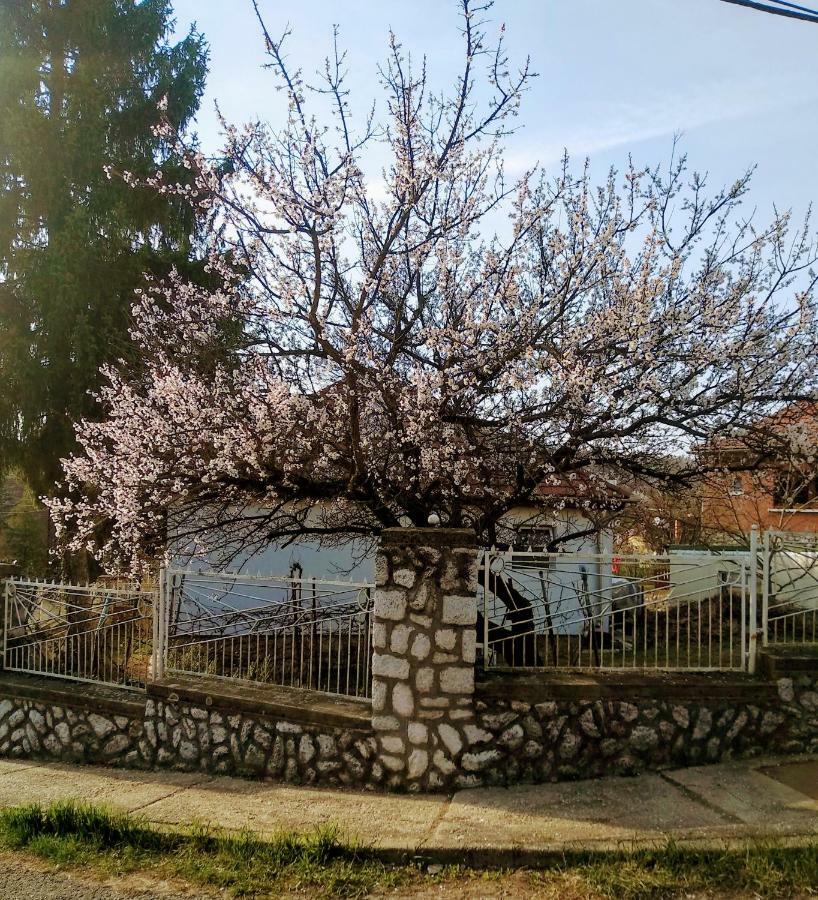 Fuege Vendeghaz Hotel Miskolc Bagian luar foto